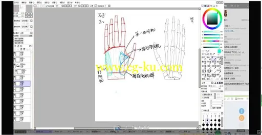 三门人体基础实例训练视频教程的图片3