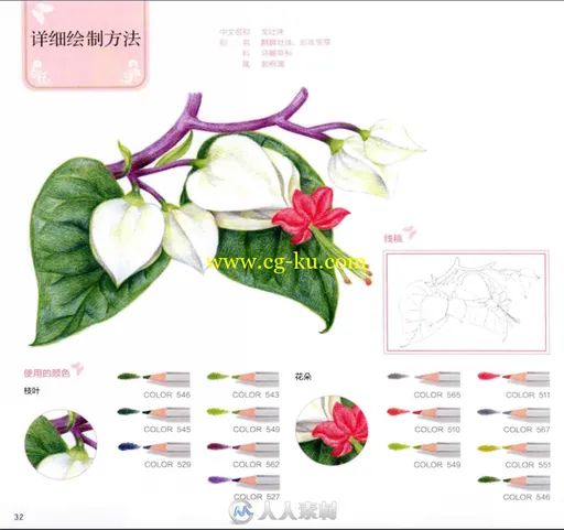 72色彩铅笔幸福夏之绘书籍杂志的图片5