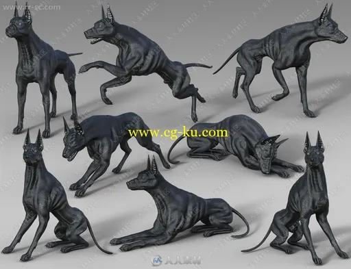 多组豹纹纹理不同花色凶狠埃及狗3D模型的图片5