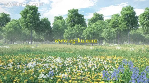 51组超精细野生花草植被3D模型合集 CGAxis第91期的图片12