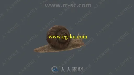 26组动态动物3D模型Unity游戏素材资源的图片1