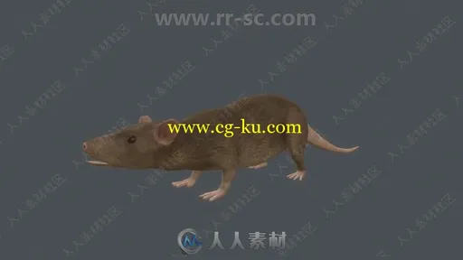 26组动态动物3D模型Unity游戏素材资源的图片15
