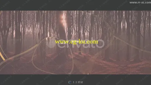 黄金花瓣特效转场过渡动画AE模板的图片2