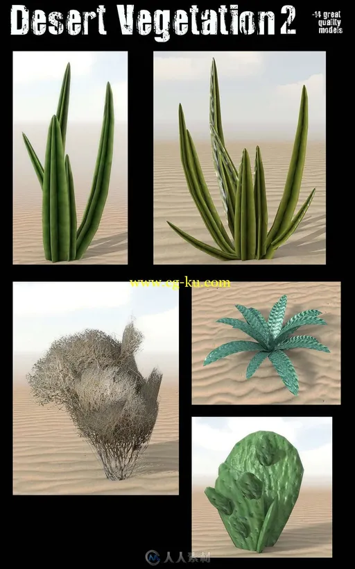多种沙漠生存植物3D模型的图片2