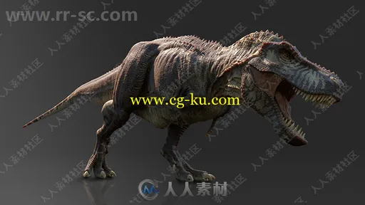 Cinema 4D Release三维设计软件R20 Win版的图片2