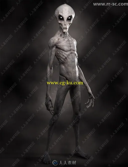 灰色皮肤黑色大眼外星人3D模型的图片2