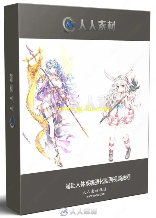 基础人体系统强化插画视频教程的图片3