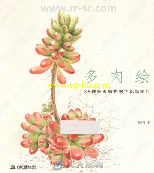 38种多肉植物色铅笔图绘书籍杂志的图片1