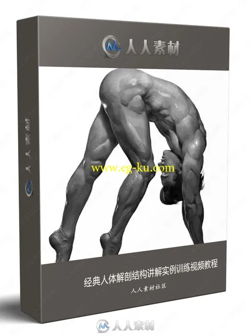 经典人体解剖结构讲解实例训练视频教程的图片1