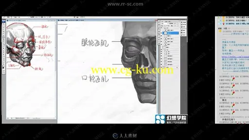 经典人体解剖结构讲解实例训练视频教程的图片2