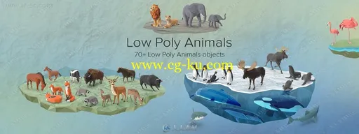 70组各种动物相关PSD模板平面素材合集的图片1
