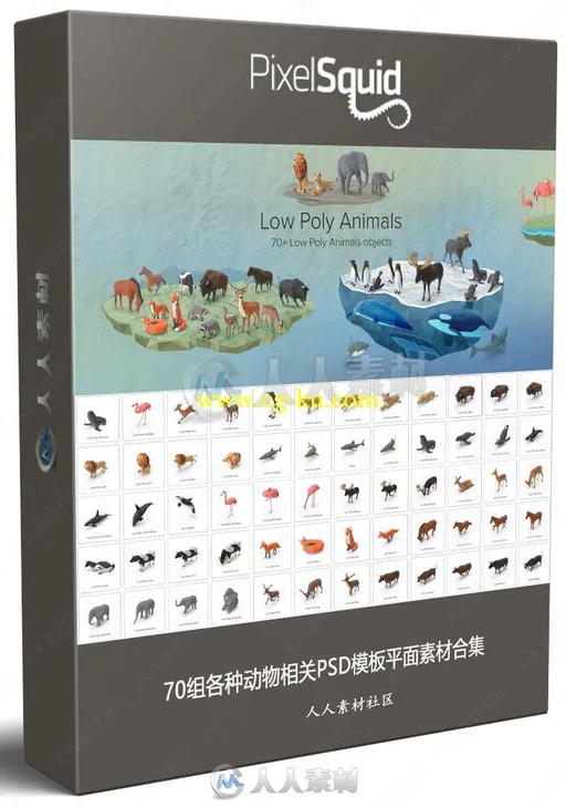 70组各种动物相关PSD模板平面素材合集的图片3