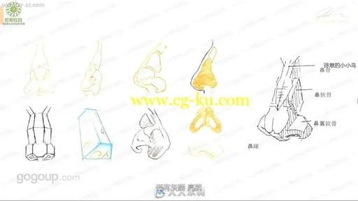 来自王云飞老师人像篇从零开始学素描视频教程的图片3