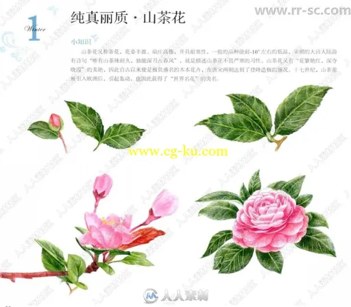 72色彩铅笔冬之绘书籍杂志的图片4