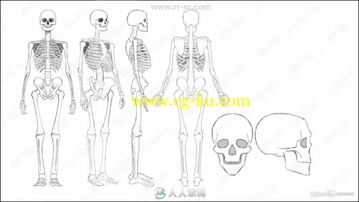 身体躯干移动动作2D动画技术视频教程的图片3
