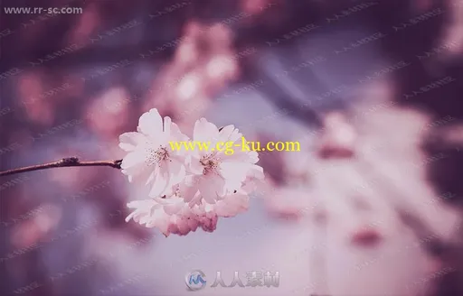 5组外景自然怀旧风格艺术色调PS动作的图片1