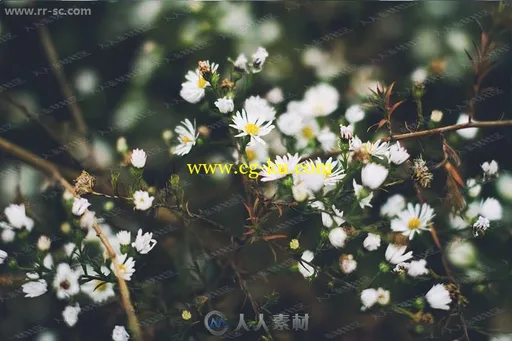 5组外景自然怀旧风格艺术色调PS动作的图片3