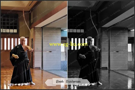 50部著名经典黑白电影情绪氛围艺术色调PS动作的图片2