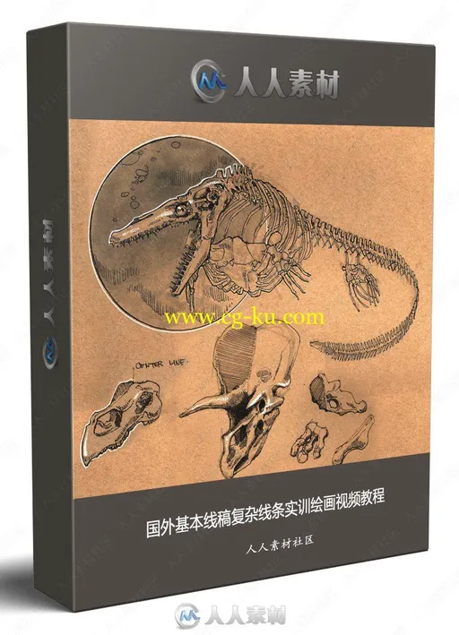 国外DRAWING TUTORIALS基本线稿复杂线条实训绘画视频教程的图片3