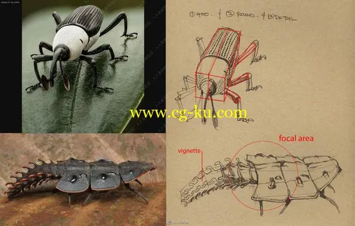 国外DRAWING TUTORIALS基本线稿复杂线条实训绘画视频教程的图片4