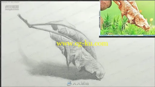 素描风景潭州素描教程基础到进阶视频教程第二季的图片1
