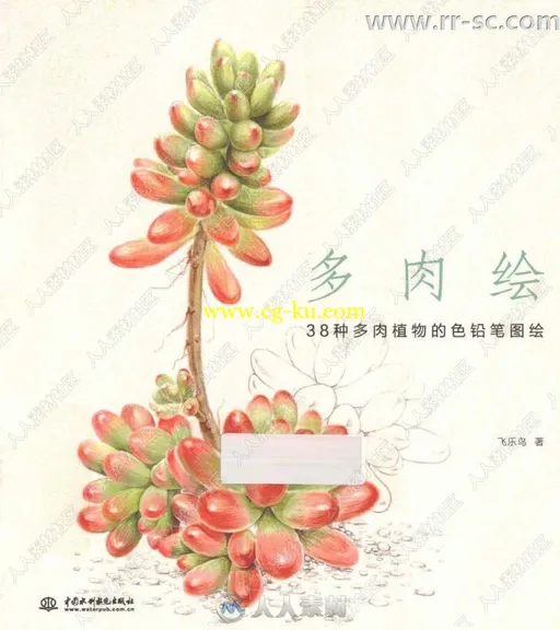 38种多肉植物彩色铅笔图绘书籍杂志的图片1