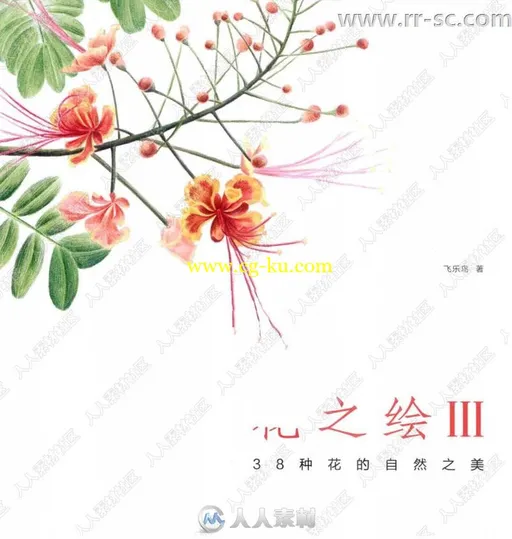 38种花自然美丽图绘书籍杂志的图片1