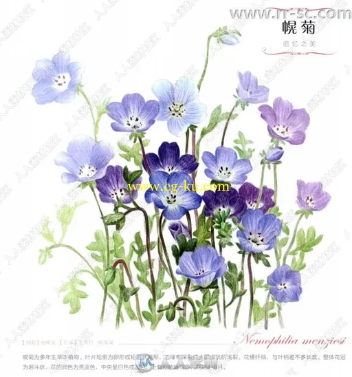 38种花自然美丽图绘书籍杂志的图片3