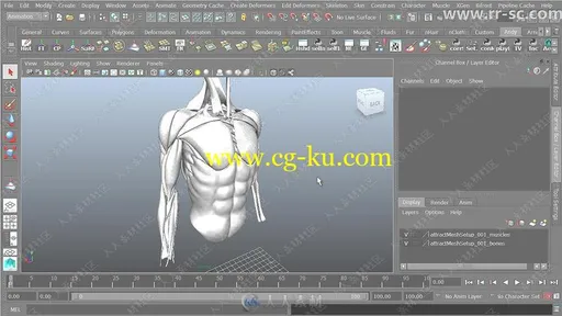 maya肌肉与骨骼大师级训练视频教程的图片1