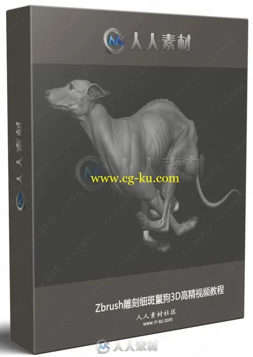 Zbrush雕刻细斑鬣狗3D高精视频教程的图片1