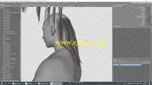 ZBrush毛发建模制作视频教程第三季的图片1