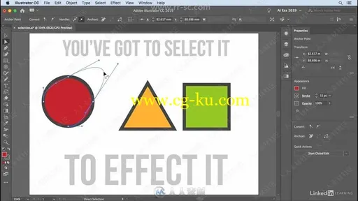 Illustrator CC 2019基础核心技术训练视频教程的图片1