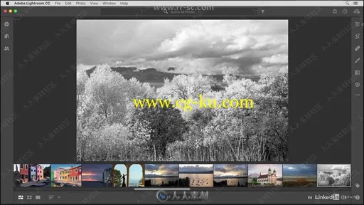 Lightroom CC照片编辑组织应用技巧视频教程的图片3
