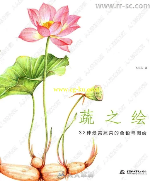 32种最美蔬菜彩色铅笔图绘书籍杂志的图片1