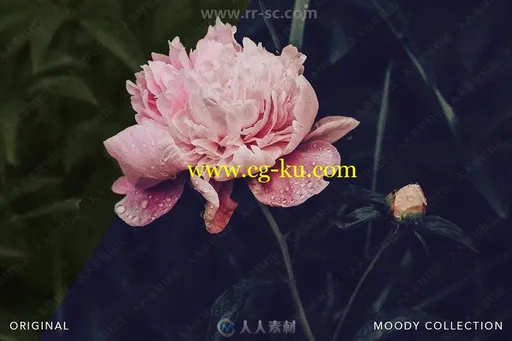 唯美暗色柔和色调电影风格调色预设Lightroom预设的图片3