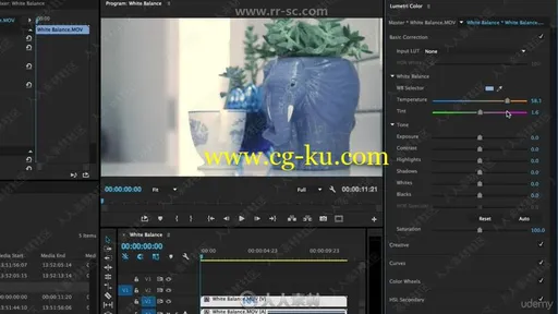 Premiere Pro CC视频编辑剪辑初学者入门视频教程的图片2