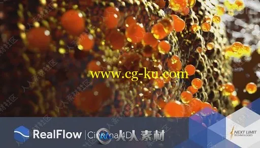 RealFlow流体动力学模拟C4D插件V2.6.5.0095版的图片1