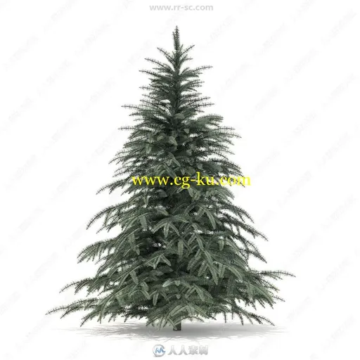 52组冬季云杉冷杉松树等积雪覆盖针叶树3D模型合集 CGAxis第98期的图片1