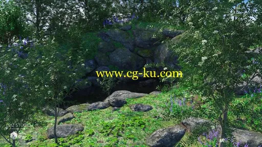 美丽挺拔春夏秋冬不同样貌花楸树3D模型合集的图片3