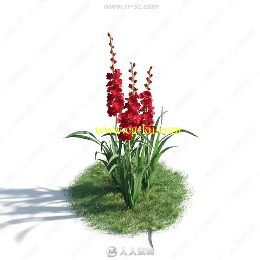 54组花草植物3D模型合集 Evermotion第183季的图片2