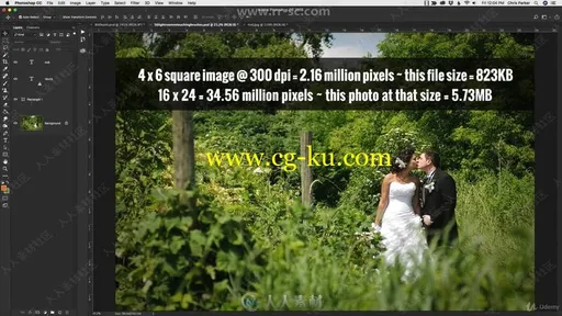 Photoshop CC 2019基础核心技术训练视频教程的图片2