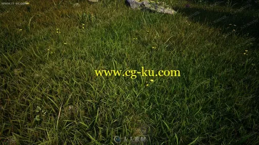 逼真多种大片单束花草渲染工具UE4游戏素材资源的图片1