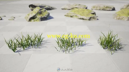 逼真多种大片单束花草渲染工具UE4游戏素材资源的图片2