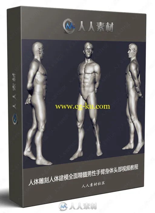 人体雕刻人体建模全面精髓男性手臂身体头部视频教程的图片3