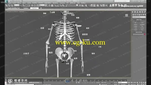 3dmax莫丽娜高级角色建模渲染动画中文视频教程的图片1