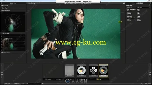 Magic Bullet looks色彩校正与预设高级技能训练视频教程的图片1