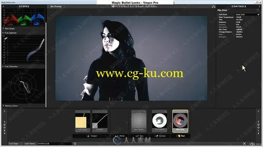 Magic Bullet looks色彩校正与预设高级技能训练视频教程的图片2