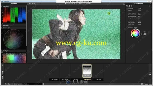Magic Bullet looks色彩校正与预设基础技能训练视频教程的图片1