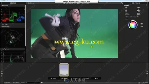 Magic Bullet looks色彩校正与预设基础技能训练视频教程的图片3