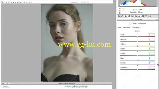 Photoshop人像皮肤修饰技术实例训练视频教程的图片1